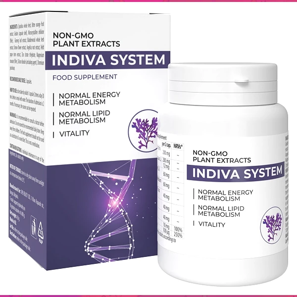 INDIVA SYSTEM